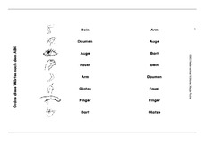 Körperteile1-3.pdf